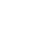 pgnew icon